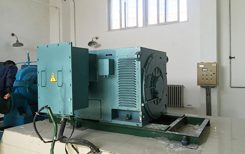 YR5005-10某水电站工程主水泵使用我公司高压电机