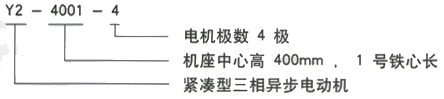 YR系列(H355-1000)高压YR5005-10三相异步电机西安西玛电机型号说明